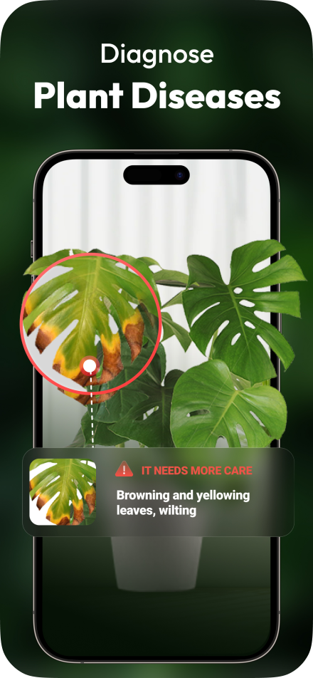 Diagnose Plant Diseases